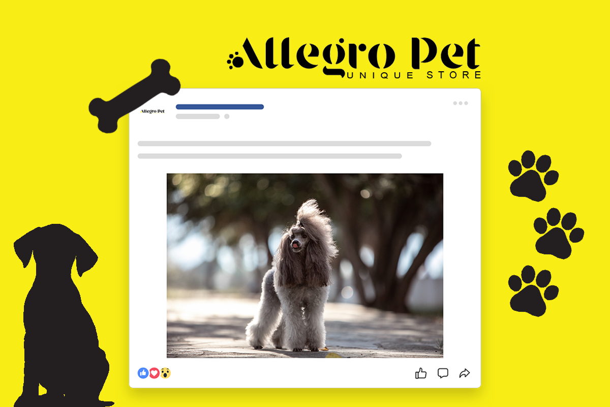 Allegro Pet